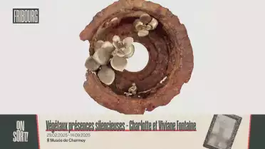 Végétaux présences silencieuses - C. et V. Fontaine