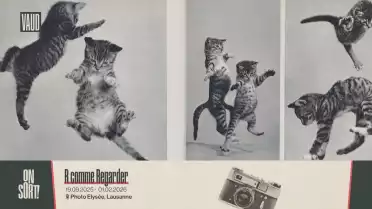 L&#039;agenda culturel vaudois