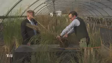 Tenue de jardin [S.2025][E.1]