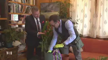 Les plantes d&#039;intérieur