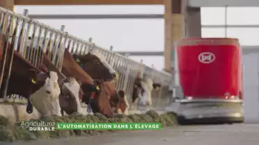 Dossier du mois - L'automatisation dans l'élevage