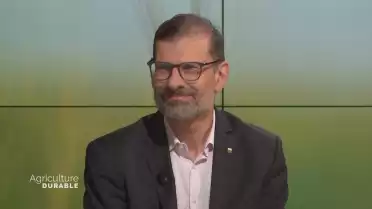 Les courants vagabonds