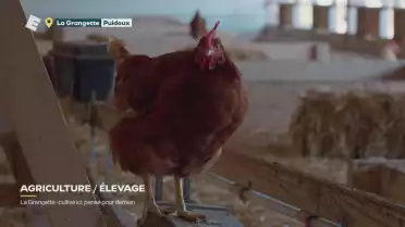 La Grangette: cultivé ici, pensé pour demain