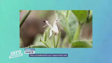 Des compléments qui n'apportent rien