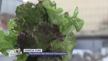 Des salades high-tech à la fribourgeoise