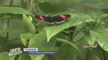 Journal du 6 mars 2026