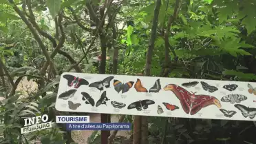 Le Papiliorama attire toujours autant à Chiètres