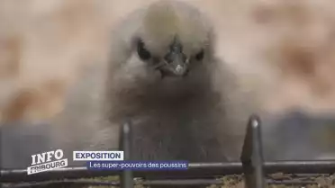 Journal du 13 mars 2026