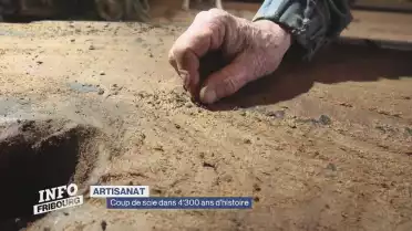 Coup de scie dans 4'300 ans d'histoire