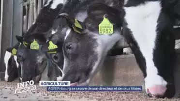 AGRI Fribourg se sépare de son directeur et de deux filiales