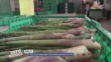 300 kg d'asperges s'envolent pendant la nuit