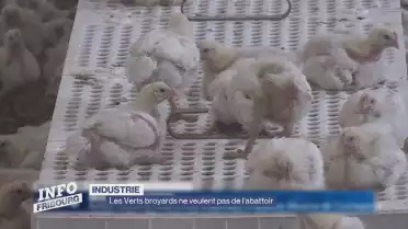 Les Verts broyards ne veulent pas de l'abattoir