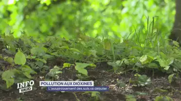 Dioxines, l'assainissement des sols va débuter
