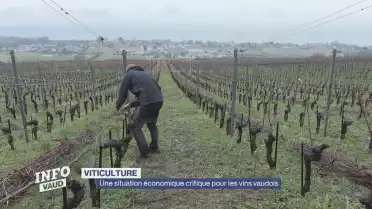 Journal du 28 janvier 2026