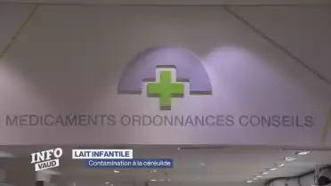Lait infantile: contaminé par la céréulide