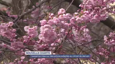 Journal du 16 mars 2026