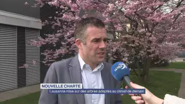 Lausanne mise sur des arbres adaptés au climat de demain