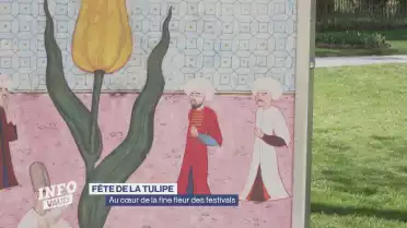 Au cœur de la Fête de la Tulipe