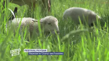 Un festival pour repenser le "Champ" des Possibles