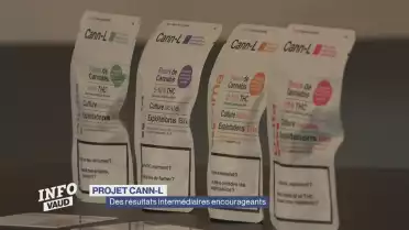 Cann-L : le marché noir perd 2 millions