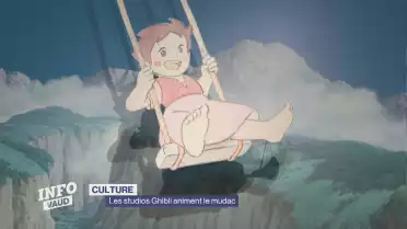 Journal du 8 mai 2026