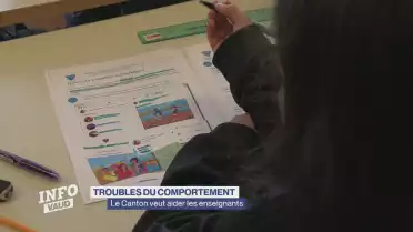 Les troubles du comportement dans le dispositif scolaire