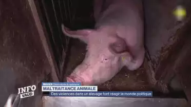 Journal du 2 juin 2026