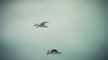 Imiter la frégate de Morgoran