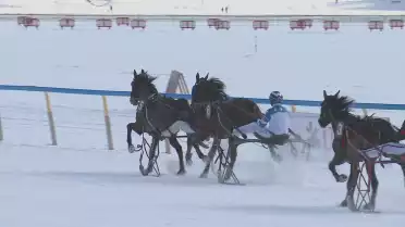 White Turf St.Moritz - Courses du 15 février 2026