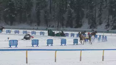 White Turf St.Moritz 2026 - Courses du 22 février 2026