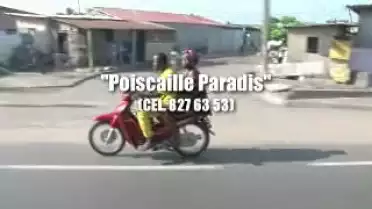 Poiscaille Paradis - La tournée