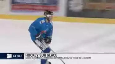 Hockey : Gottéron accueille son nouvel étranger