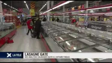 Lasagne Gate