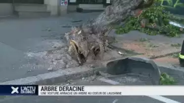 Une voiture déracine un arbre à Lausanne