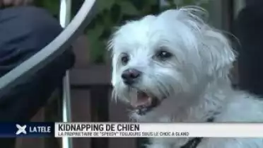 Kidnapping de chien à Gland: sa propriétaire est bouleversée