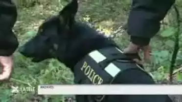 Un chien policier retrouve une femme et ses deux enfants