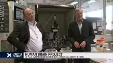 Human Brain Project: lancement des recherches sur le cerveau