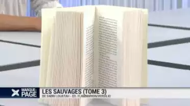 Les sauvages (Tome 3)