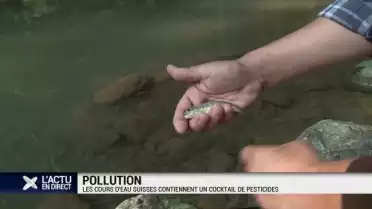 Plusieurs rivières suisses fortement polluées