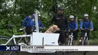 La ville de Lausanne offre un vélo à son chien renifleur