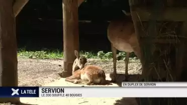 40 ème anniversaire du zoo de Servion