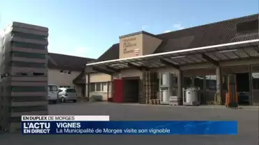 La Municipalité de Morges visite son vignoble