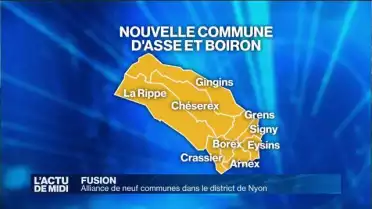 Alliance de neuf communes dans le district de Nyon