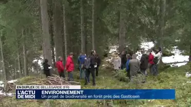 Un projet de biodiversité en forêt près des Gastlosen (FR)