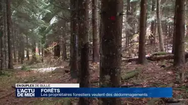 Les propriétaires forestiers veulent des dédommagements