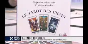Le Tarot des Chats