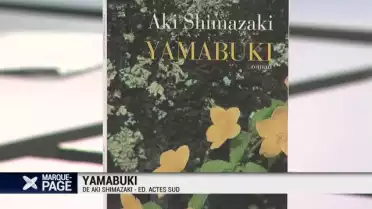 Yamabuki