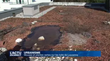 Lausanne veut végétaliser les toits de la Ville