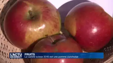 La variété suisse 2015 est une pomme zurichoise