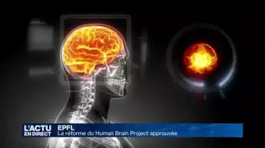 Le Humain Brain Project va être réformé